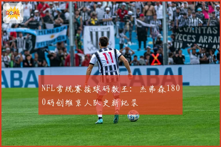 NFL常规赛接球码数王:杰弗森1800码创维京人队史新纪录