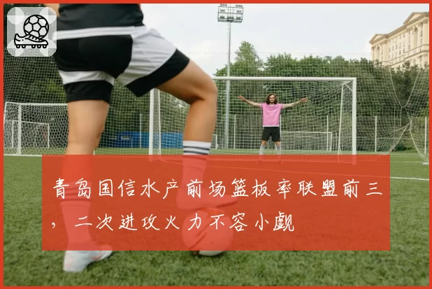 青岛国信水产前场篮板率联盟前三，二次进攻火力不容小觑