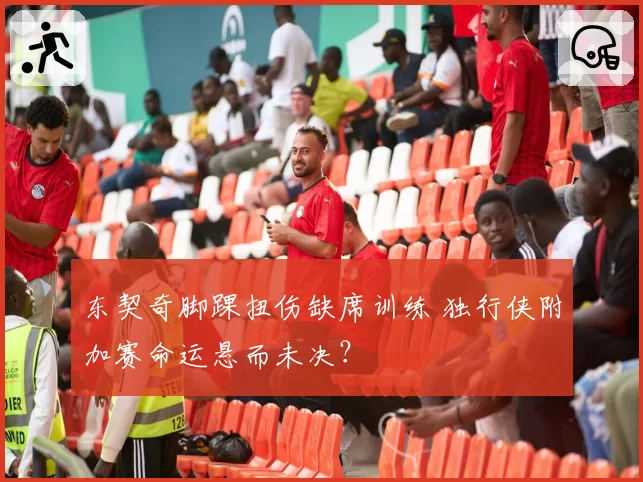 东契奇脚踝扭伤缺席训练 独行侠附加赛命运悬而未决?